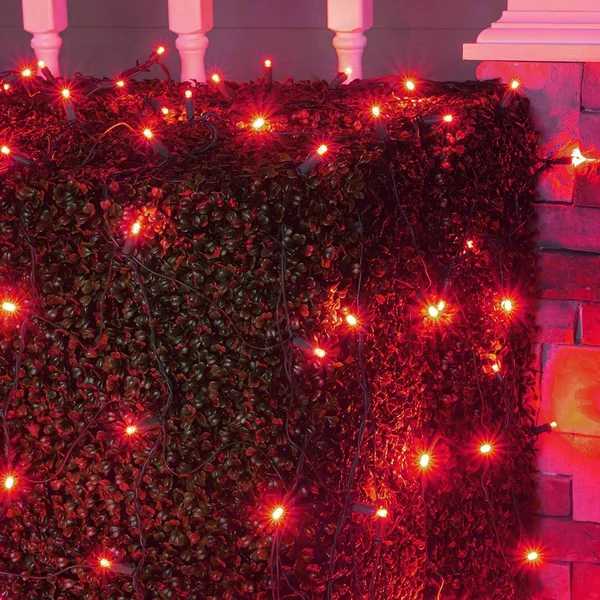 Set of 100 LED Red Net Lights - Christmas Net Lights - Outdoor Christmas Decorations, Green Wire (4 x 6 ft, 5mm Lights, Red)