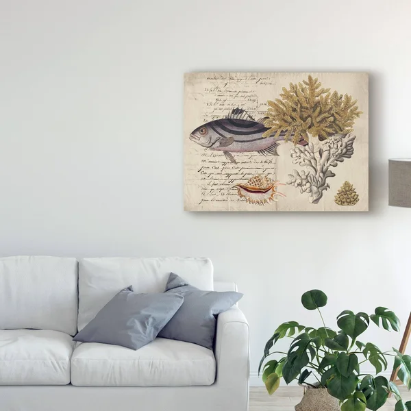 Trademark Fine Art 'Sea Life Journal III' Canvas Art by Vision Studio, Size: 35 x 47