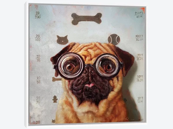 Framed Canvas Art (White Floating Frame) - Canine Eye Exam by Lucia Heffernan ( Animal Art > Dogs > Pugs art)
