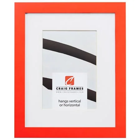 Craig Frames Confetti, 20x26 inch Modern Orange Picture Frame Matted for A 16x22 Photo, Size: 20 x 26