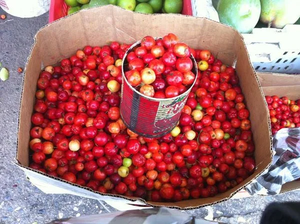 Acerola Cherry Powder - Organic Freeze Dried 22 lbs by Z Natural Foods