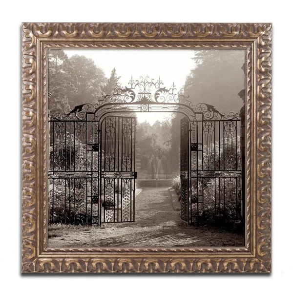 Trademark Art Alan Blaustein 'Hampton Gates III' Ornate Framed Art