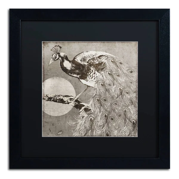 Trademark Fine Art &Moon Peacock& Framed Graphic Art - Mat Color: Black, Size: 16x22 H x 16x22 W x 0.5x22 D