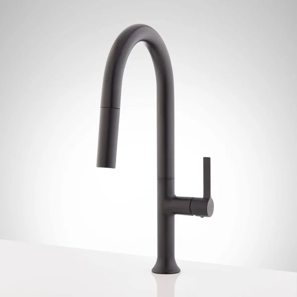 Signature Hardware 450081 Aldridge Bok Pull Down Single Hole Kitchen Faucet Finish: Matte Black