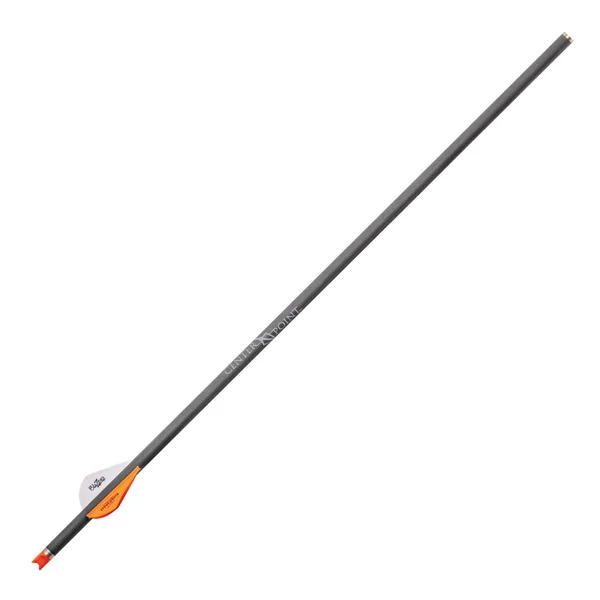 Centerpoint Cp400 Select Carbon Arrow