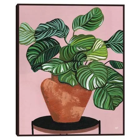 Calatheas by Bria Nicole Framed Canvas Art Print, Size: 16 x 20