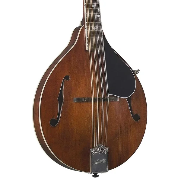 Kentucky KM-256 Artist A-Model Mandolin - Transparent Brown