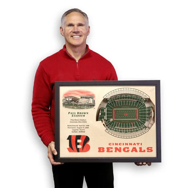 NFL 3D Stadium Wall Art - Cincinnati Bengals