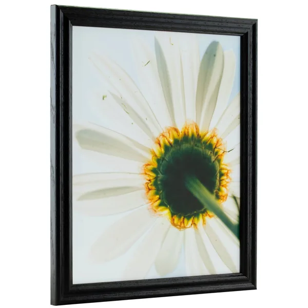 Craig Frames Wiltshire 200, Traditional Black Hardwood Picture Frame, 17 x 28 inch