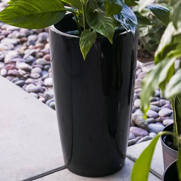 17x22 2pk Plastic Nested Self Watering Planter Pot Black - Xbrand