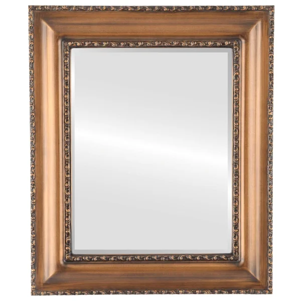 Somerset Framed Rectangle Mirror in Sunset Gold - 25x29