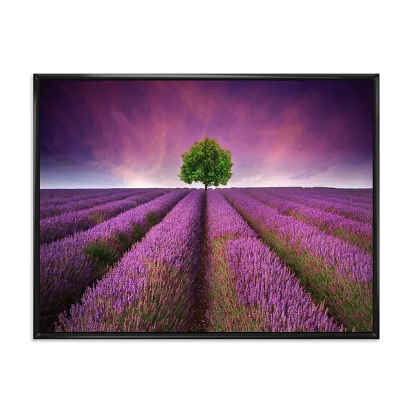 Designart 'Stunning Lavender Field Summer Sunset with Tree' Farmhouse Framed Canvas Wall Art Print - 40 in. Wide x 30 in. High