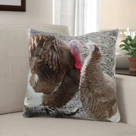 Haldeman Bird Indoor/Outdoor Throw Pillow The Holiday Aisle