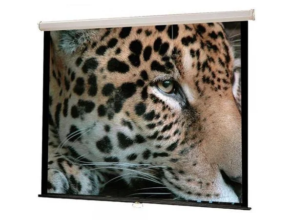 70x70 Wall Mount Projector Screen WS-W70