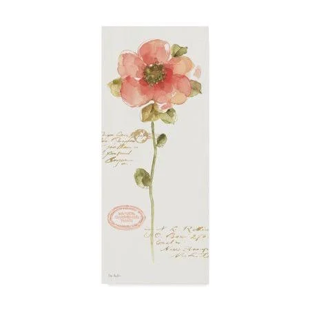 Trademark Fine Art 'Rainbow Seeds Loose Floral IV' Canvas Art by Lisa Audit - Size: 20 x 47