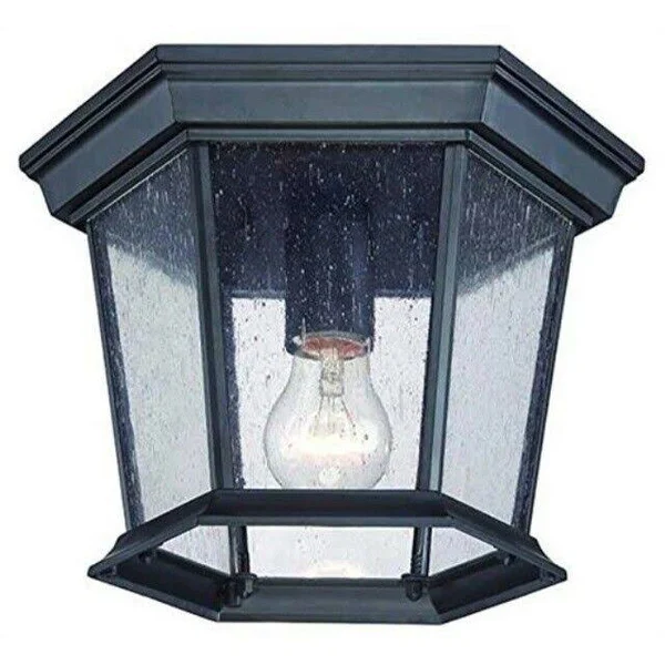 Acclaim Lighting Dover Outdoor Ceiling Mount Light Fixture - Matte Black