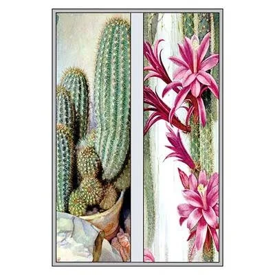 Buyenlarge Cactus and Flower 2 Piece Graphic Art Set