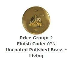 Brasstech 328/03N Extension Tube Polished Brass Uncoated (Living)