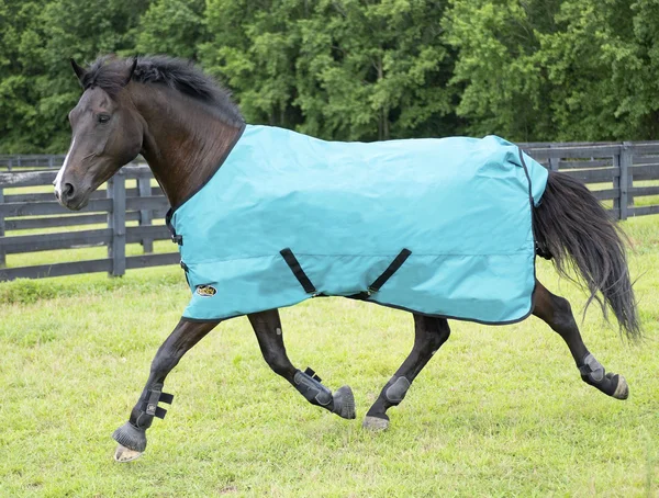 Gatsby Original Lite Waterproof Turnout Sheet