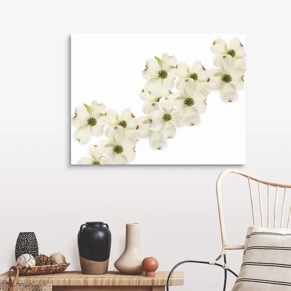 Dogwood Beauty - Canvas Wall Art, 40x30, Great Big Canvas