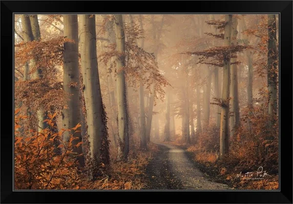 Brown Beauty - Black Framed Wall Art, 30x20, Great Big Canvas