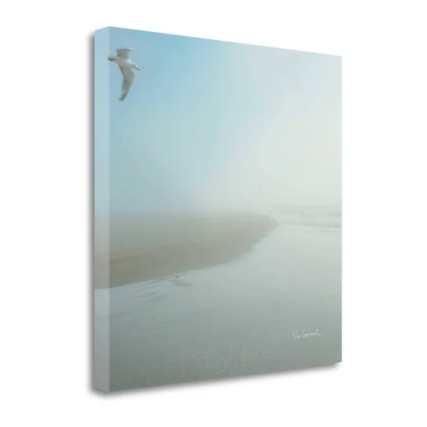 24x22 x 24x22 Seagull Morning by Sue Schlabach Fine Art Giclee Print