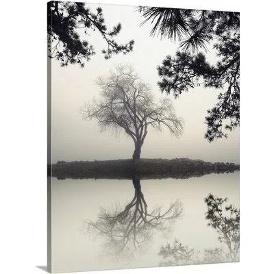 &Winter Willow& Nicholas Bell Photographic Print Great Big Canvas Format: Canvas - Size: 20x22 H x 16x22 W x 1.5x22 D