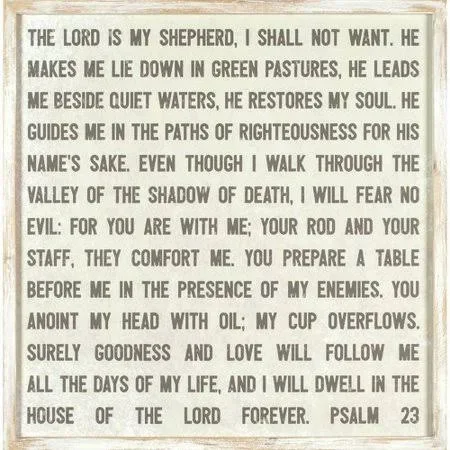 Winston Porter Framed Psalm 23 Wood Wall D cor, Black