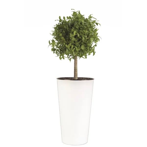 The HC Companies Cascade 13x22 Round Self Watering Flower Planter Pot, Gloss White
