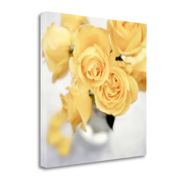Tangletown Fine Art Floral Color - 21x22 by Alan Blaustein, Giclee Print on Wrap Canvas, 30x22x30x22