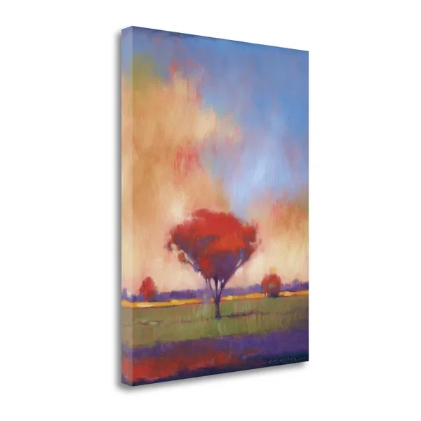 Tangletown Fine Art Where Ever You Go by Paul Anderson, Giclee Print on Wrap Canvas, 21x22x29x22