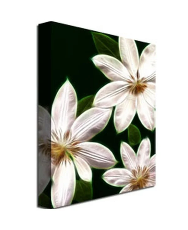 Trademark Global Kathie McCurdy 'White Clematis' Canvas Art