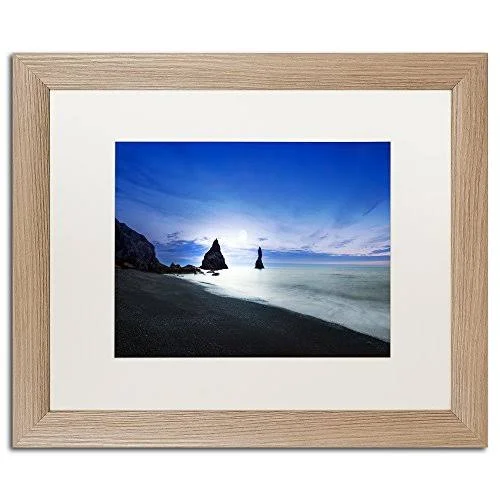 Trademark Fine Art Reynisdrangar Evening by Philippe Sainte-Laudy Framed Photographic Print - Size: 16x22 H x 20x22 W x 0.5x22 D