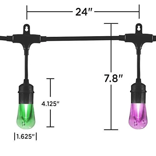 Enbrighten Seasons LED Warm White & Color Changing Café String Lights with Oil-Rubbed Bronze Lens Shade, Black, 48ft, 24 Imp