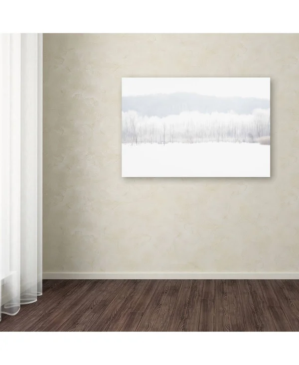 Trademark Fine Art Kurt Shaffer Abstract Winter Beaver Marsh Canvas Wall Art