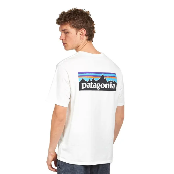 Patagonia Men's P-6 Logo Organic T-Shirt White - XXL