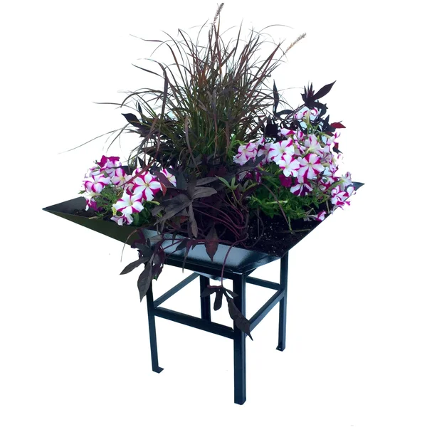 Paragon 4040BL Geometric Metal Black Planter with Large Stand