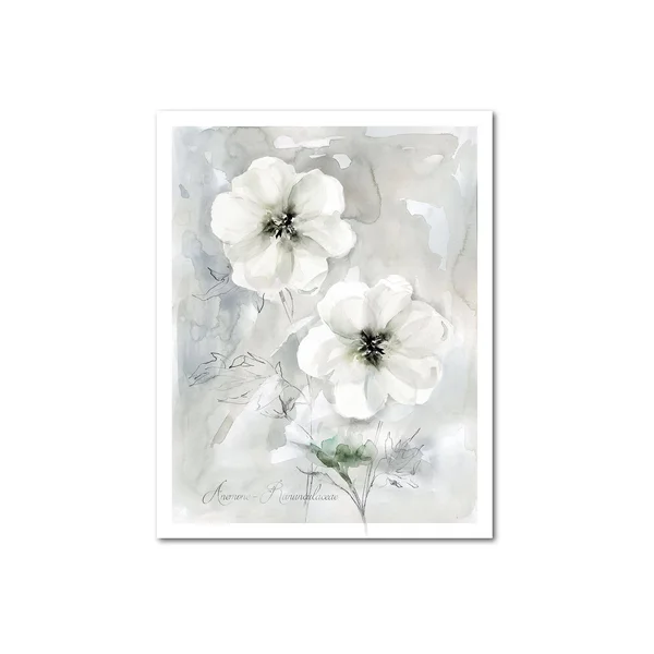 Courtside Market White Anemone II Gallery Canvas Wall Art - 20x24