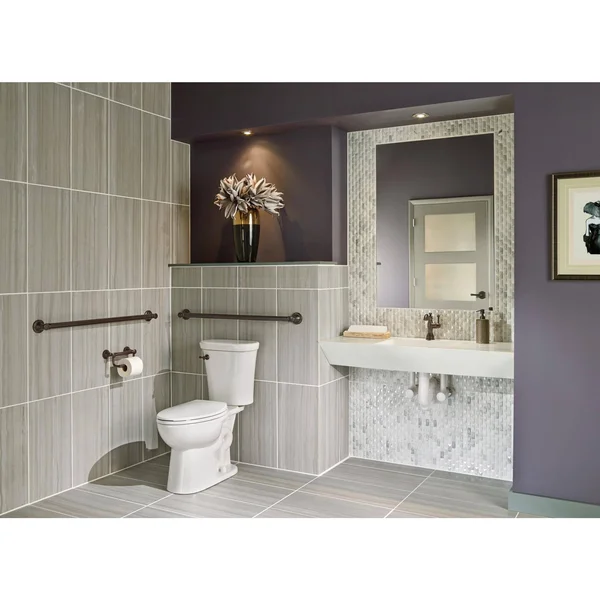 Delta 41350-SS Traditional Tissue Holder-Assist Bar - Stainless
