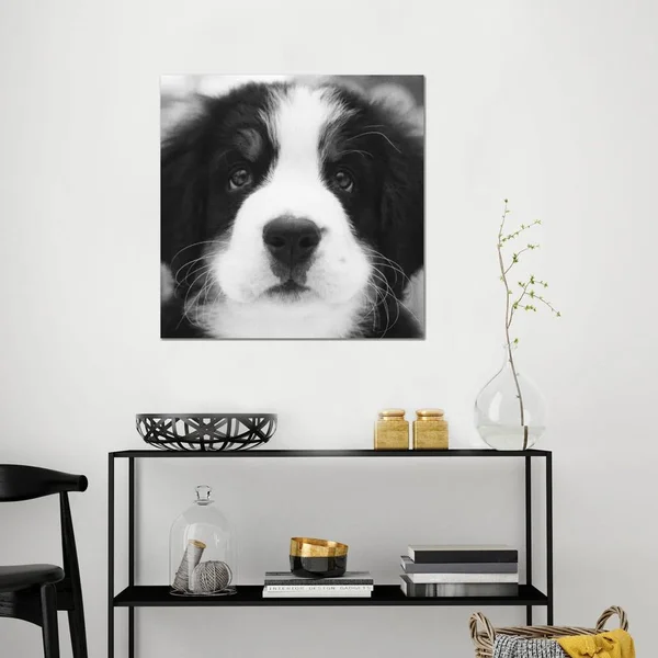 iCanvas - Ben by Kim Levin Canvas Print - ICS328-1PC3-26x26