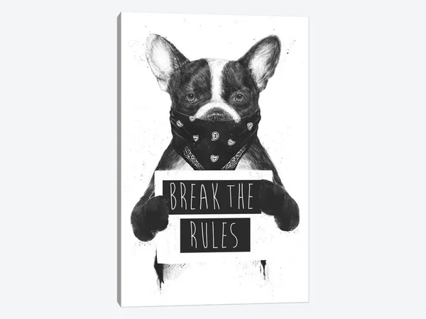 iCanvas Rebel Dog Art by Balazs Solti Canvas Art Wall Decor ( Decorative Elements > Signs art)