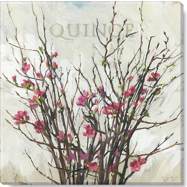 Sullivans Darren Gygi Quince Canvas, Museum Quality Giclee Print, Gallery Wrapped, Handcrafted in USA 20x22W Pink