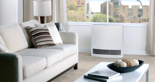 Rinnai FC510P 10 - 000 BTU Vent-Free Propane Fan Convector