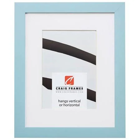 Craig Frames Confetti, 19x25 inch Modern Light Blue Picture Frame Matted for A 14x20 Photo, Size: 19 x 25