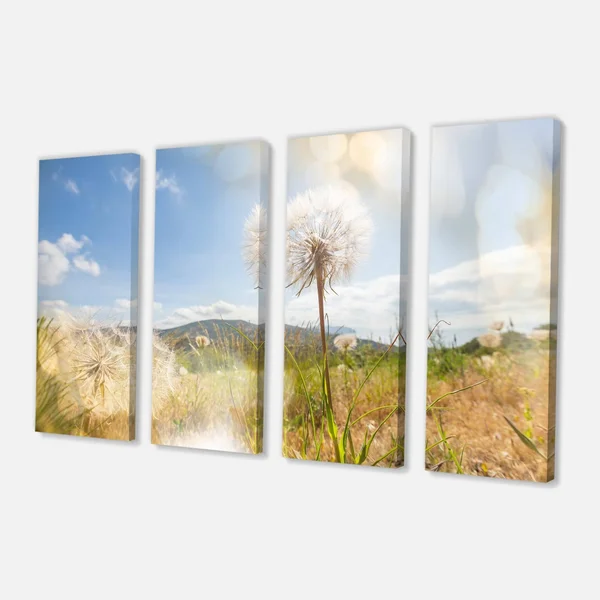 Design Art &Blooming Dandelion Under Bright Sky& Photographic Print on Wrapped Canvas, Size: 30 inch x 40 inch, White