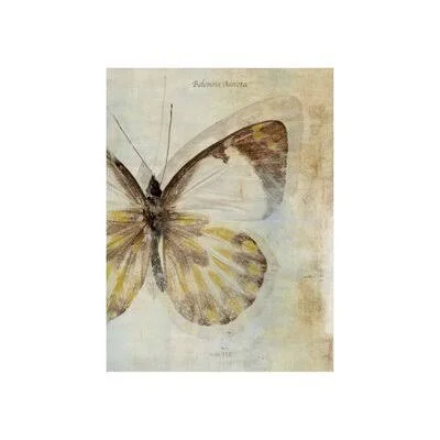 Butterfly Effect II by Sofia Fox - Wrapped Canvas Graphic Art Print Chelsea Art Studio