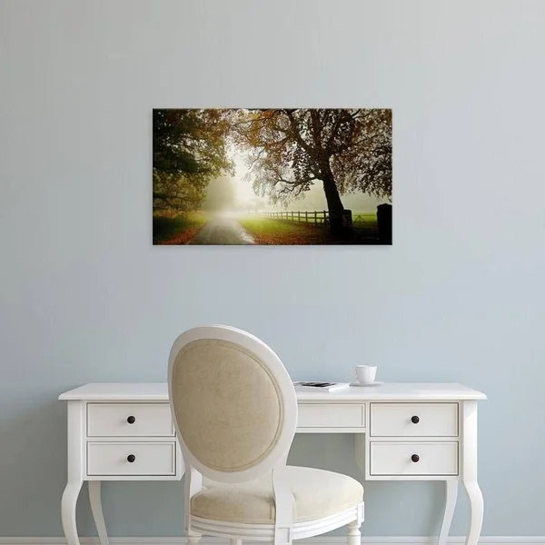 Easy Art Prints Adelino Gon鏰lves's 'The Fog' Premium Canvas Art - 12 x 21 - Brazilian Barnwood Frame