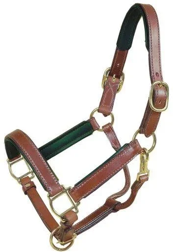 Tory Leather 1x22 Padded Halter with Brass Hardware
