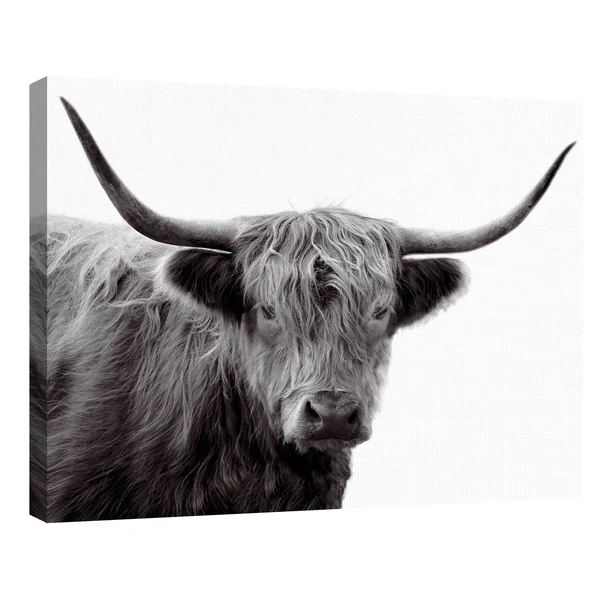 Highland Haze by Bill Phillip Highland Bull Canvas Art - Size: 22 inch x 28 inch