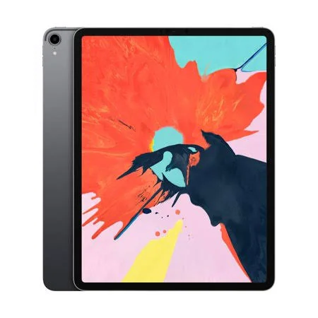 Apple iPad Pro 12.9 (3rd Generation) Wi-Fi Only Tablet - Gray